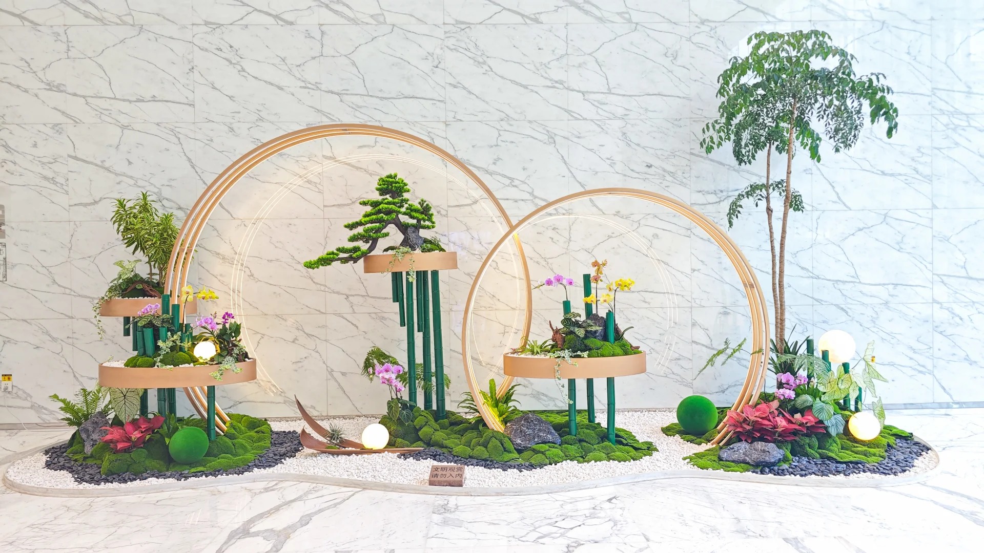 专业花木出租,领略宁波北仑的自然之美