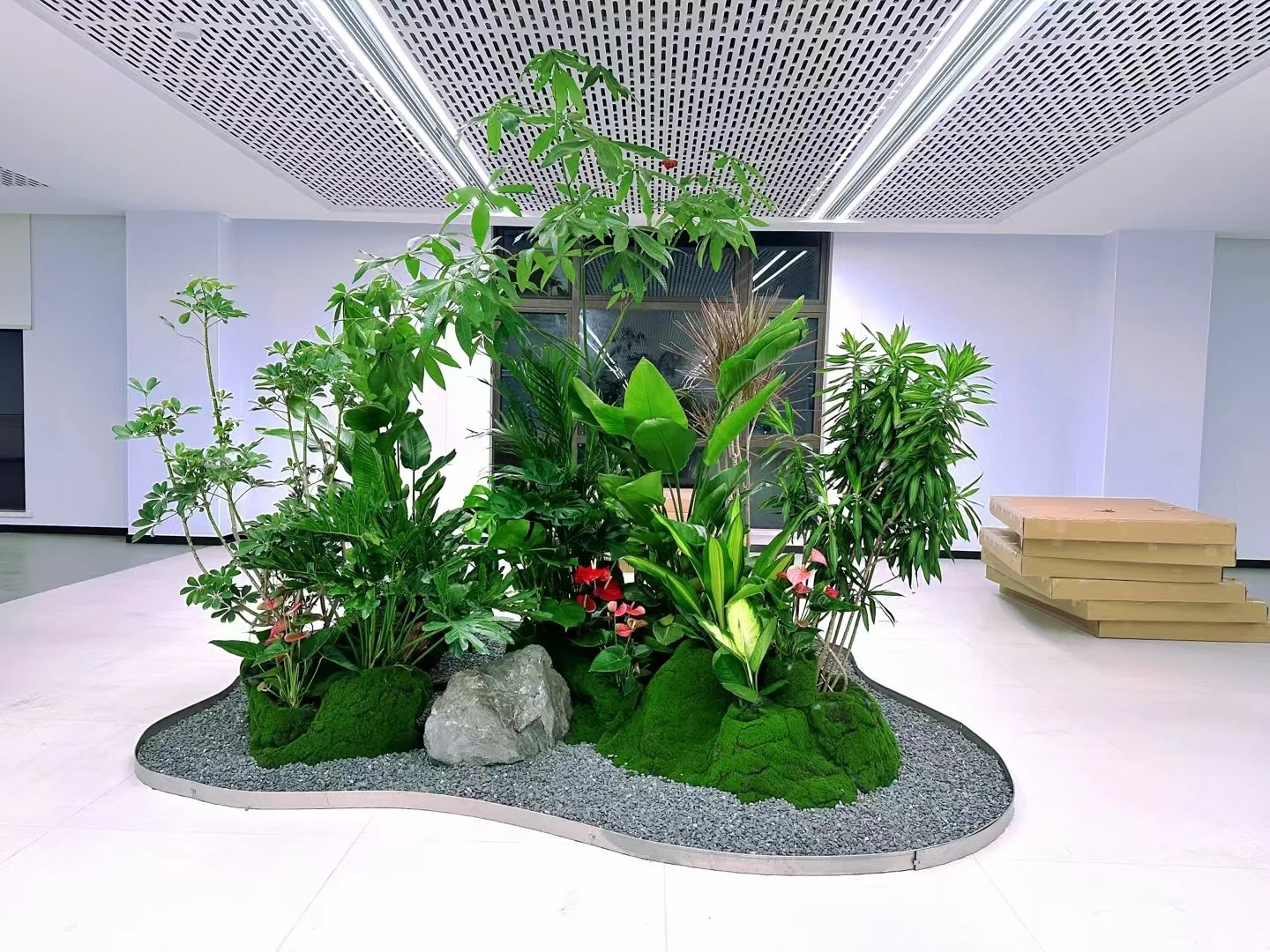 价格实惠的杭州湾植物租摆,给你意想不到的绿色惊喜!