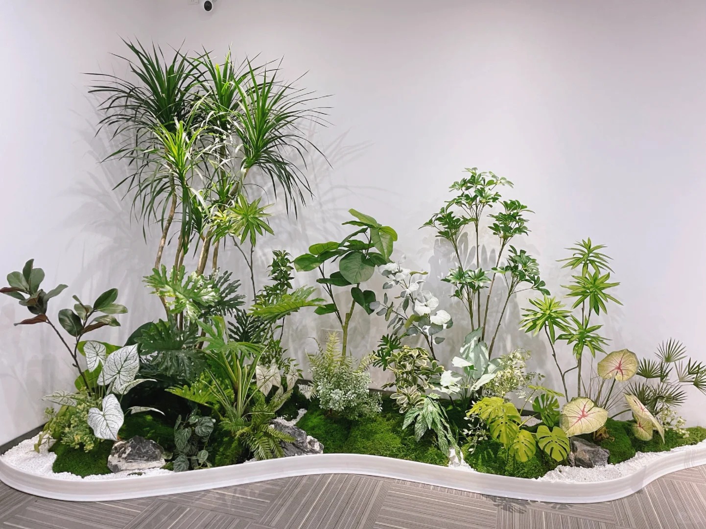 价格实惠的杭州湾植物租摆,给你意想不到的绿色惊喜!